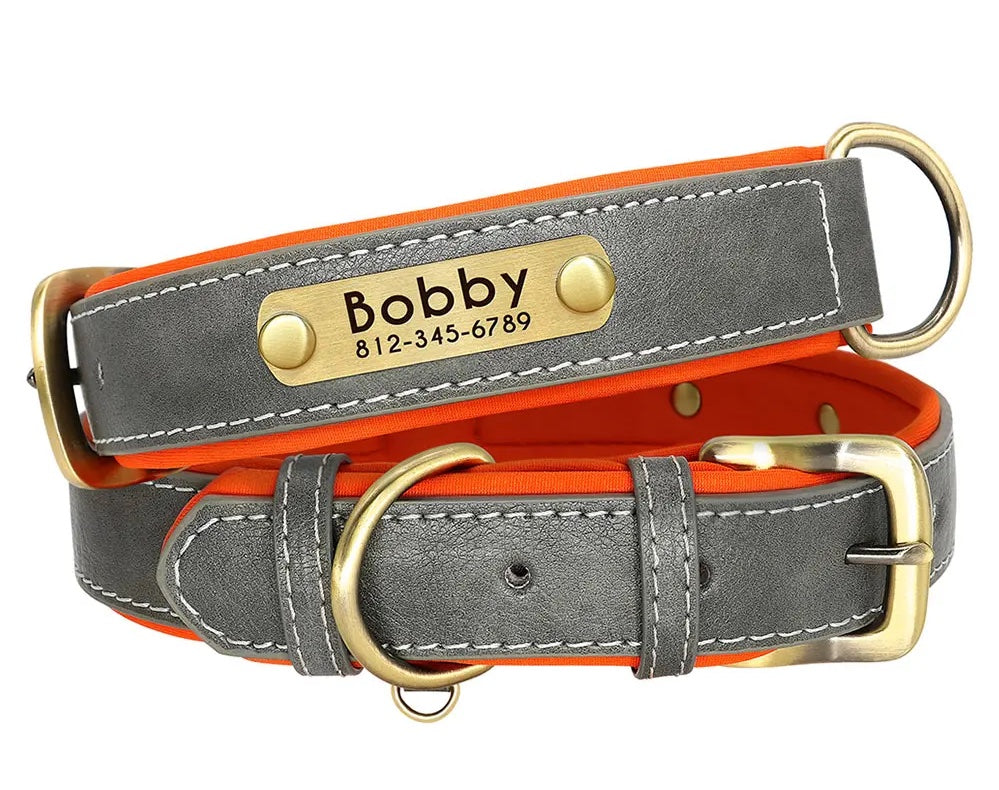 Custom Engraved Collar