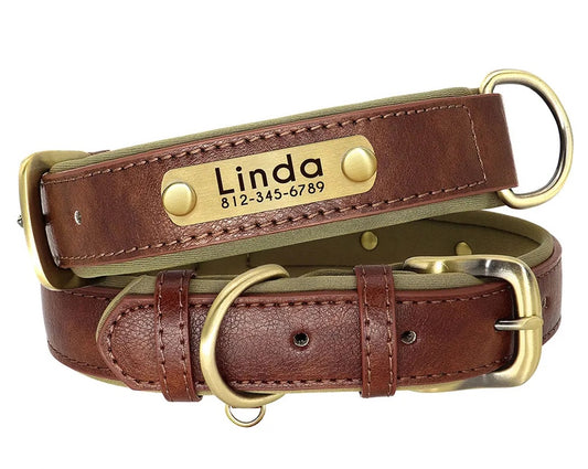 Custom Engraved Collar Brown